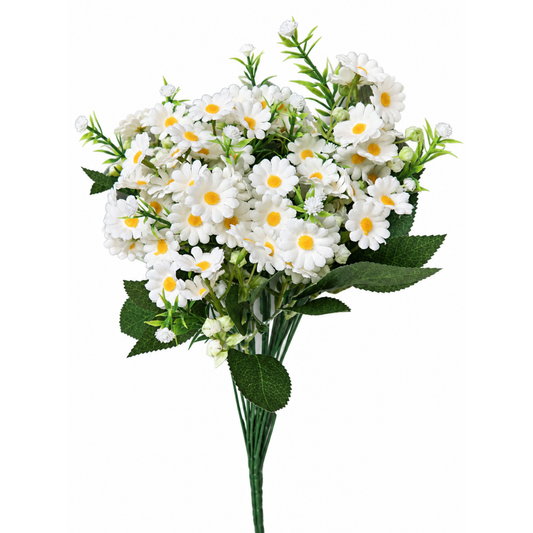 Papatya Küçük 90 Kafa Tohumlu 45 cm